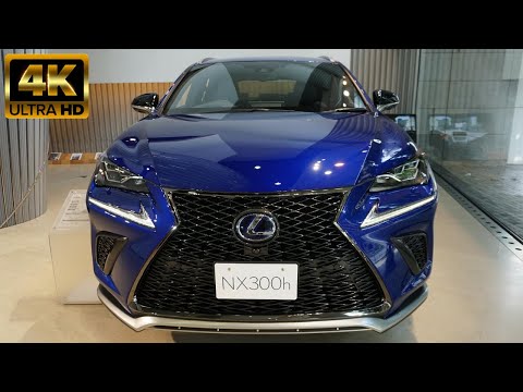 More information about "Video: 2020 LEXUS NX300h "Cool ＆ Bright "Blue - New Lexus NX300h 2020 - レクサス  NX300h クール & ブライト 2020年モデル"